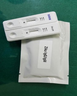 피 1방울로 20분만에 감염여부를 알아낼 수 있는 면역진단키트. - 바이오나노헬스가드연구단은 제공